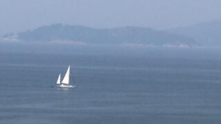 cd676ad9-51d0-4201-a54a-90799c7c23c3